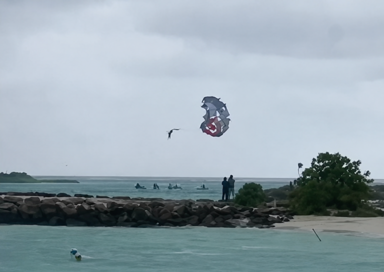 މާފުށީގައި ޕެރެސެއިލިން ކުޑައެއް ކަނޑައިގެންގޮސް ދެ ފަތުރުވެރިއަކު މޫދަށް ވެއްޓިއްޖެ
