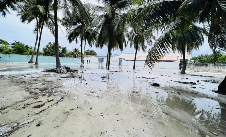 އުދަ އަރާފާނެތީ ސަމާލުވުމަށް އިލްތިމާސްކޮށްފި