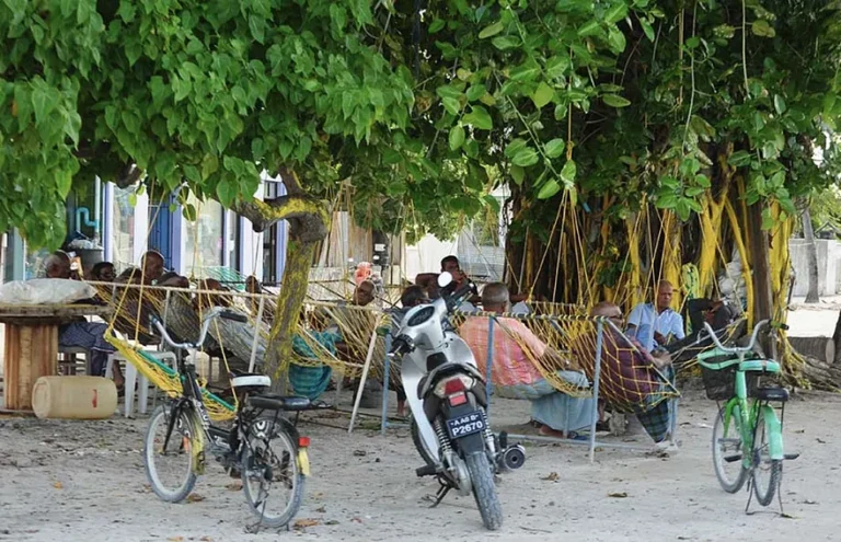 މިދިޔަ އަހަރު ފަޤީރުންނާއި މިސްކީނުންނަށް 38 މިލިޔަން ރުފިޔާ