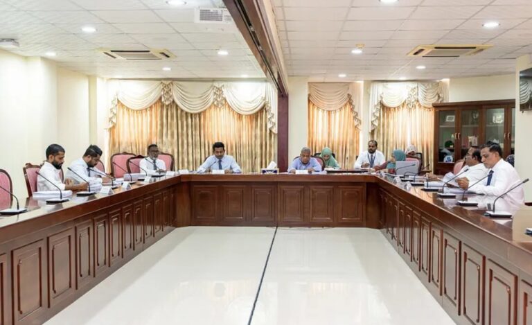 ކަޅުބާޒާރުގައި ޑޮލަރު ވިއްކުމާއި އިޝްތިހާރުކުރުން ޖޫރިމަނާކުރެވޭ ގޮތަށް ބޭރުފައިސާގެ ބިލު ކޮމިޓީން ފާސްކޮށްފި