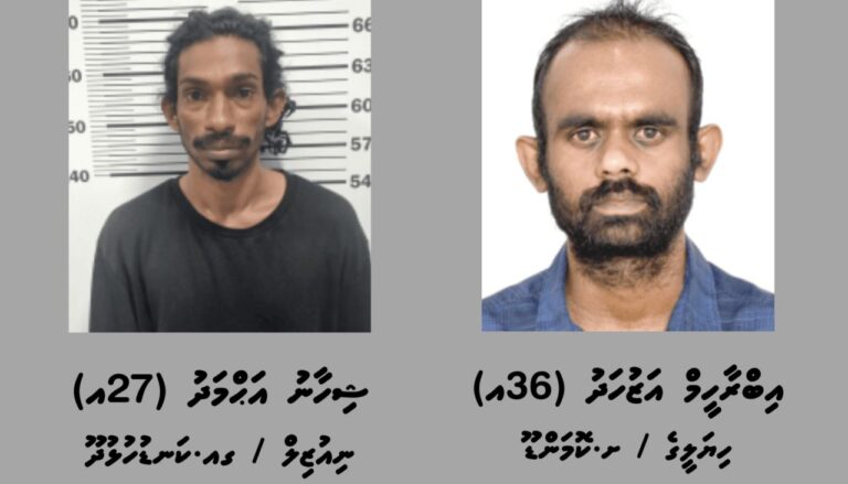 ހައްދުފަހަނައަޅާ ދިއުމުގެ އަމަލުތަކާ ގުޅޭ ތަހުގީގަކަށް ދެ މީހަކު ހޯދަނީ