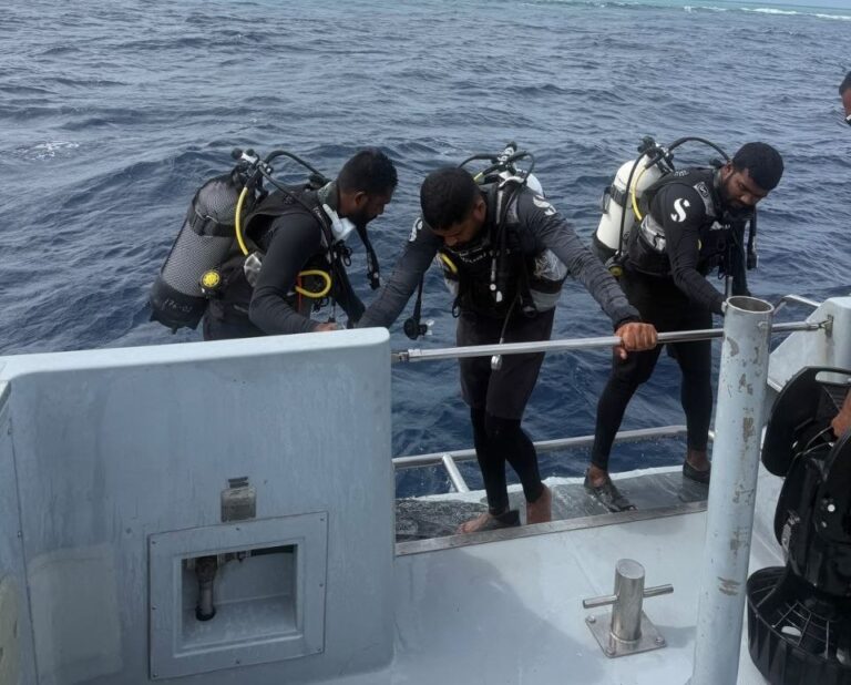 ގެއްލުނު މީހުން ހޯދަން ވައިގެ މަގުން ބޮޑު ސަރަހައްދެއް ބަލައިފި