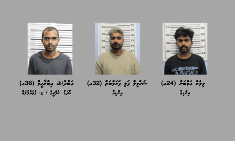 ވައިގެމަގުން ރާއްޖެއަށް މަސްތުވާތަކެތި އެތެރެކުރިކަމުގެ ތުހުމަތުގައި ތިން މީހުން ހައްޔަރުކޮށްފި