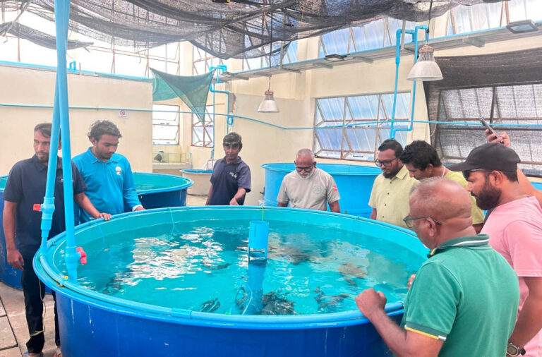 ފަރުމަސް އާލާކުރުމުގެ ތަމްރީން ޕްރޮގްރާމުގެ 3 ވަނަ ބުރަށް ހުޅުވާލައިފި