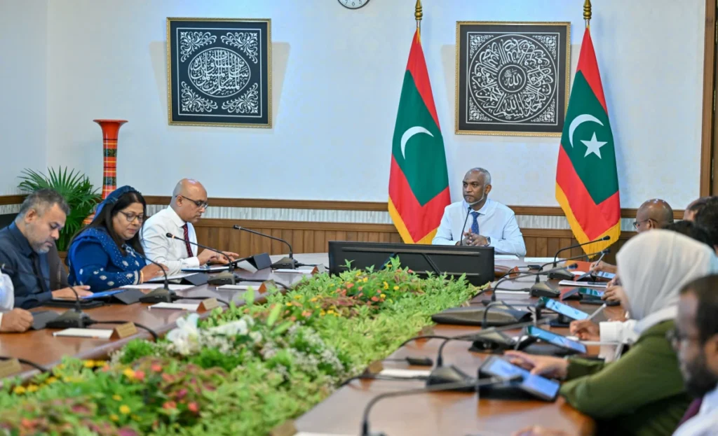 muiz cabinet 2026