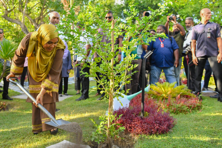 ގަސްގަހާގެހި ހެއްދުމުގައި ޞިއްޙީ ރައްކާތެރިކަމުގެ މިންގަނޑުތައް ހިފެހެއްޓުމަށް މެޑަމް ސާޖިދާ ގޮވާލައްވައިފި