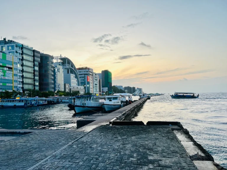 ބަނދަރާއެކު ޖެޓީތަކެއް ތަރައްޤީކުރަން މަސްވެރިންގެ ޕާކް ކައިރިން އުޅަނދުތައް ނަގަން އަންގައިފި